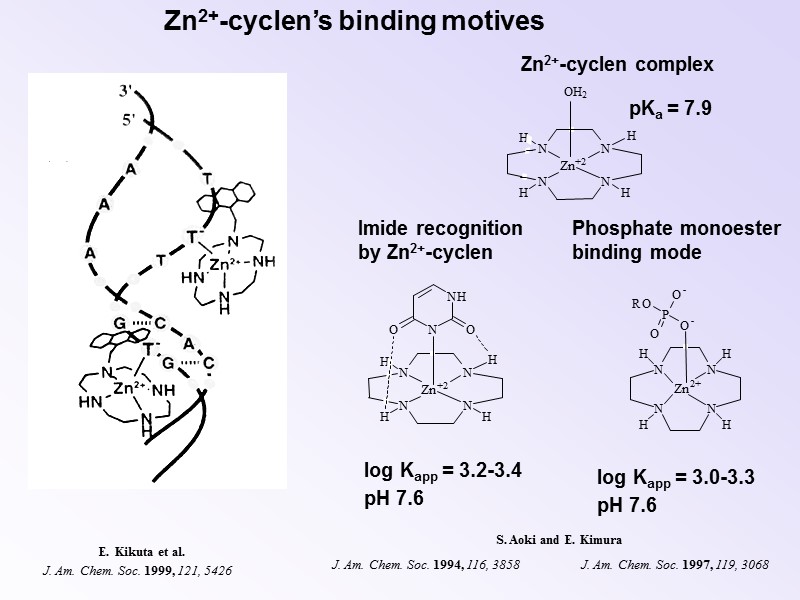 Zn2+-cyclen’s binding motives log Kapp = 3.2-3.4 pH 7.6 log Kapp = 3.0-3.3 pH